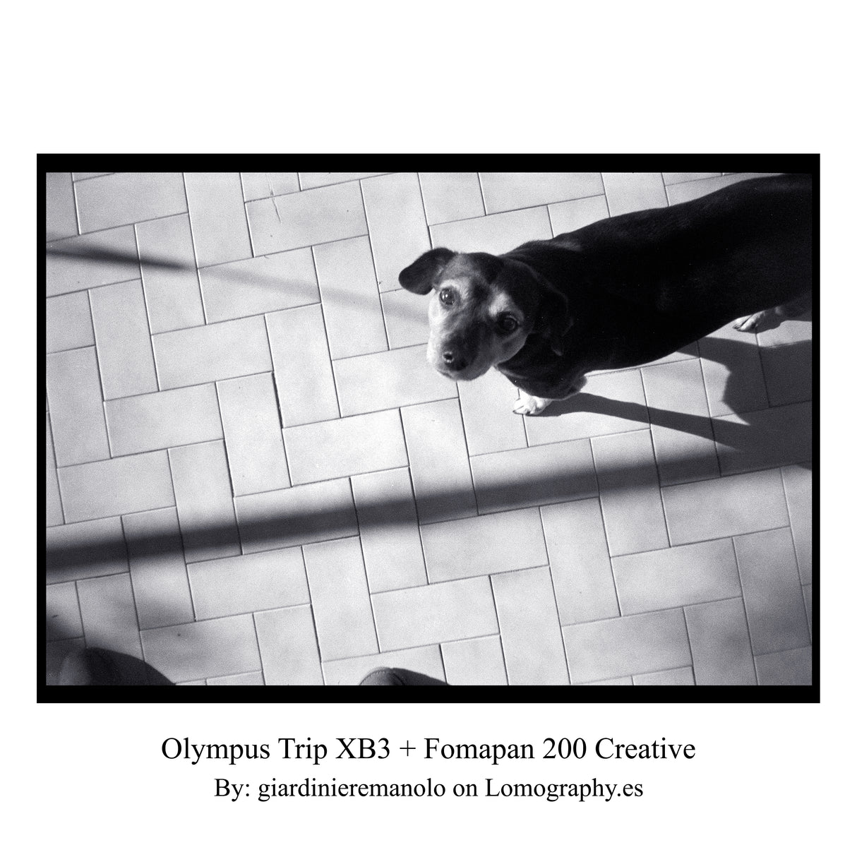 Olympus Trip XB3 - 35mm Film Camera